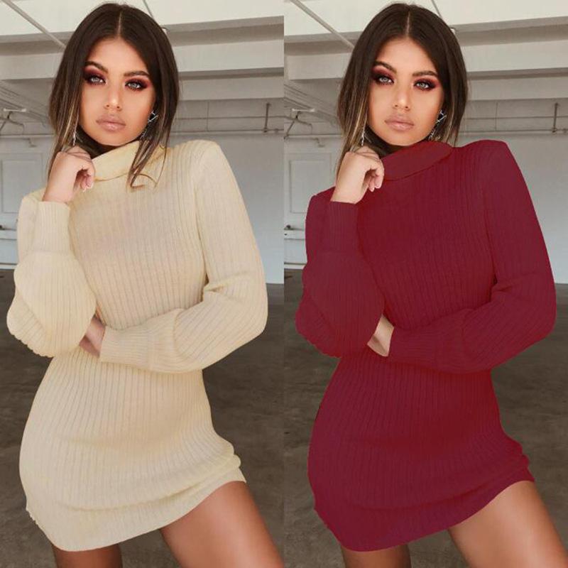 Turtleneck Long Bishop Sleeves Women Pullover Oversized Sweater Dress