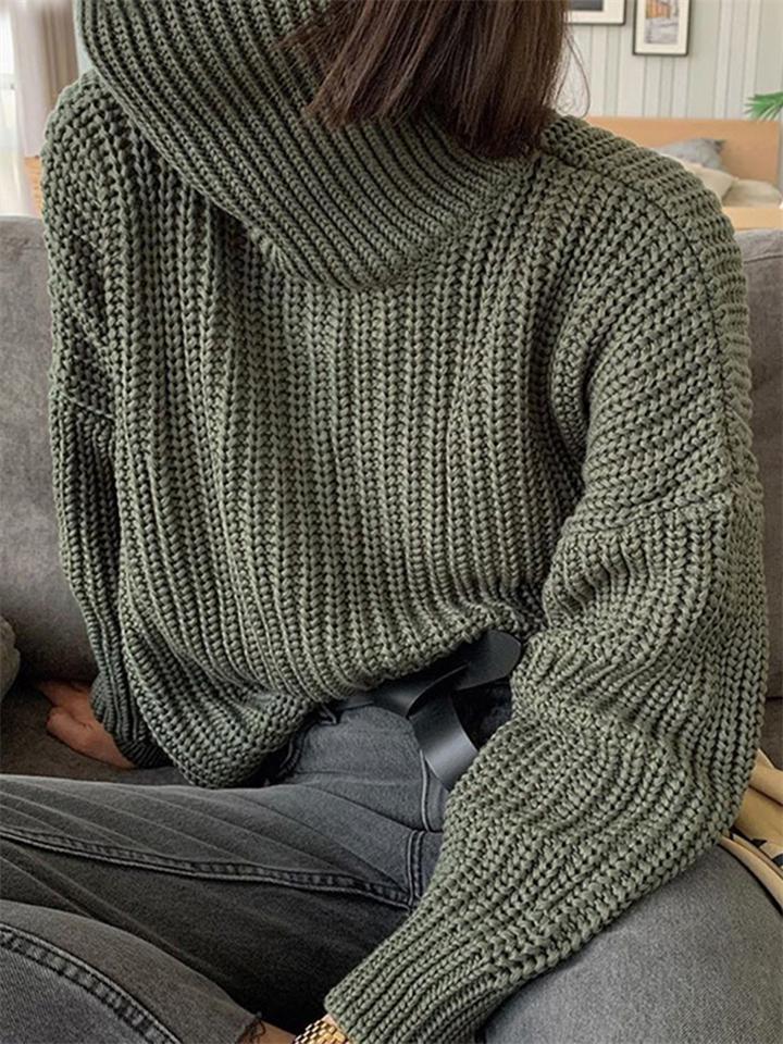 Elegant Turtleneck Solid Color Pullover Sweater Shopvhs.com