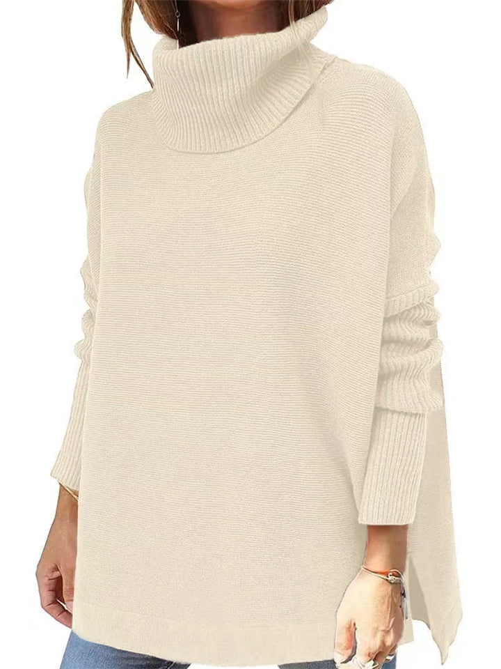 Simple Style Comfy Turtle Neck Solid Color Sweater For Women Shopvhs.com