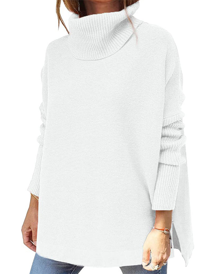 Simple Style Comfy Turtle Neck Solid Color Sweater For Women Shopvhs.com