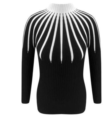 Slim Fit Women Knitted Turtleneck Sweaters freeshipping - Tyche Ace