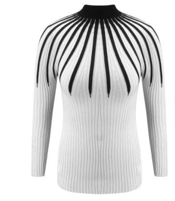 Slim Fit Women Knitted Turtleneck Sweaters freeshipping - Tyche Ace