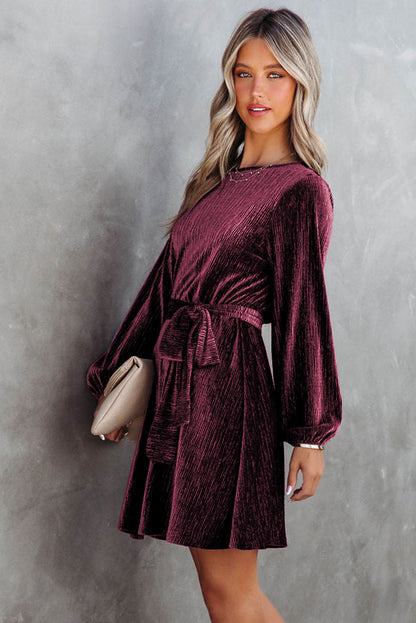 Tie Waist Crinkle Velvet Dress - Mini Dresses - Sunny Angela