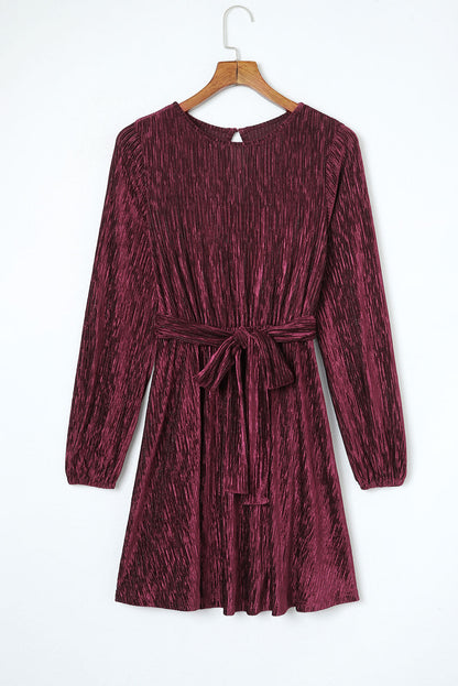 Tie Waist Crinkle Velvet Dress - Mini Dresses - Sunny Angela