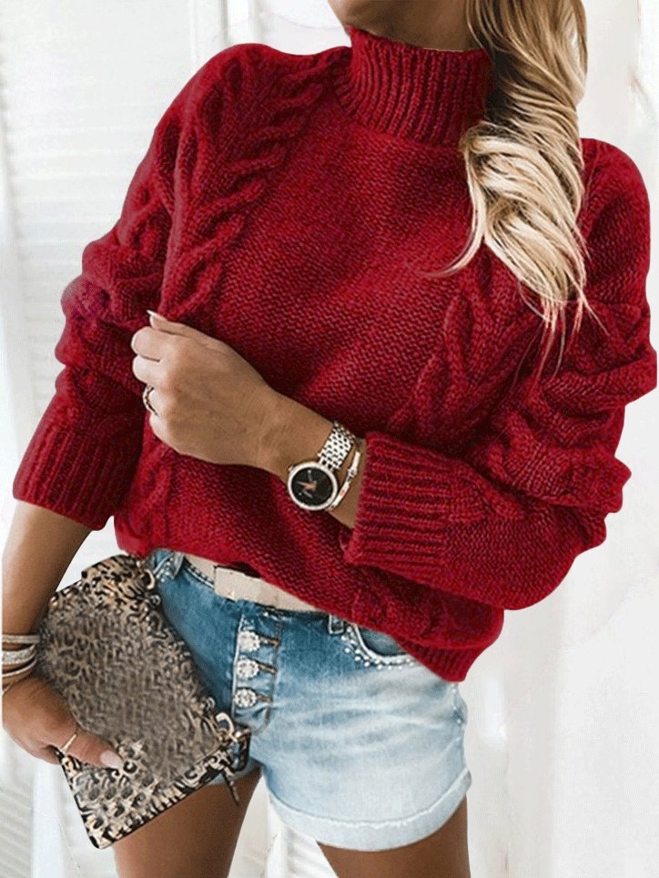 Women's Sweaters Solid Turtleneck Long Sleeve Knitted Sweater - LuckyFash™